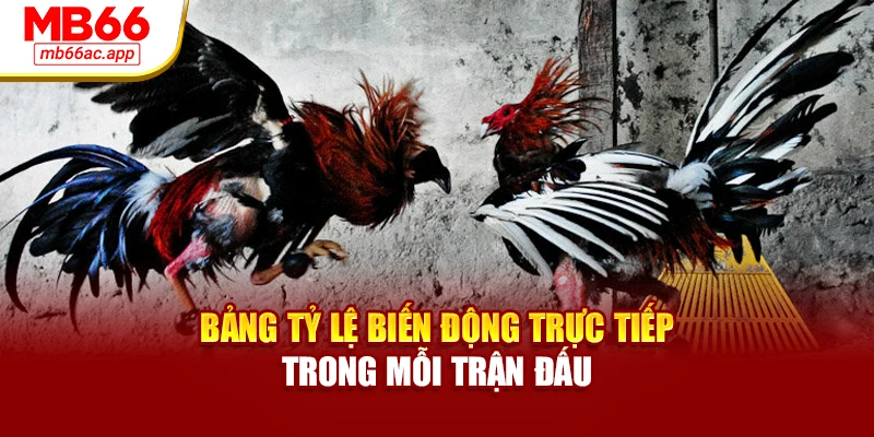Bảng tỷ lệ biến động trực tiếp trong mỗi trận đấu