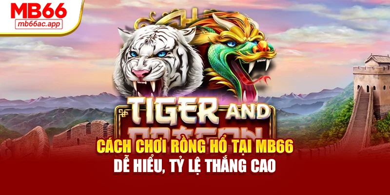 Cách Chơi Rồng Hổ Tại MB66 Dễ Hiểu, Tỷ Lệ Thắng Cao