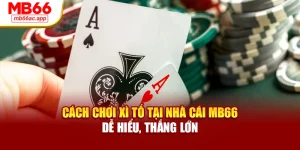Cách Chơi Xì Tố Tại Nhà Cái MB66 Dễ Hiểu, Thắng Lớn