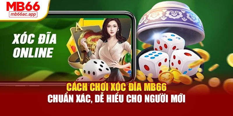 Cách Chơi Xóc Đĩa MB66 Chuẩn Xác, Dễ Hiểu Cho Người Mới