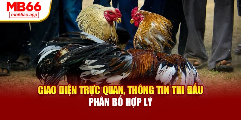 Giao diện trực quan, thông tin thi đấu phân bố hợp lý