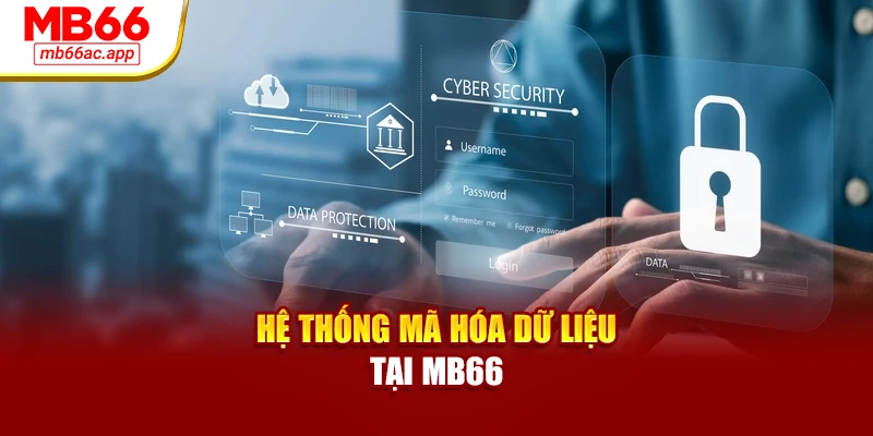 Hệ thống mã hóa dữ liệu tại MB66