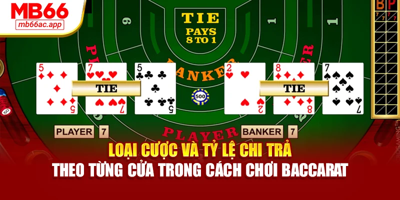 Loại cược và tỷ lệ chi trả theo từng cửa trong cách chơi Baccarat