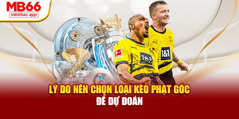 Lý do nên chọn loại kèo phạt góc để dự đoán