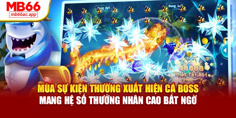 Mùa sự kiện thường xuất hiện cá boss mang hệ số thưởng nhân cao bất ngờ