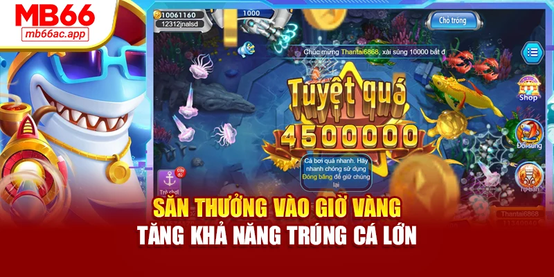 Săn thưởng vào giờ vàng tăng khả năng trúng cá lớn
