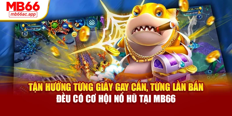 Tận hưởng từng giây gay cấn, từng lần bắn đều có cơ hội nổ hũ tại MB66