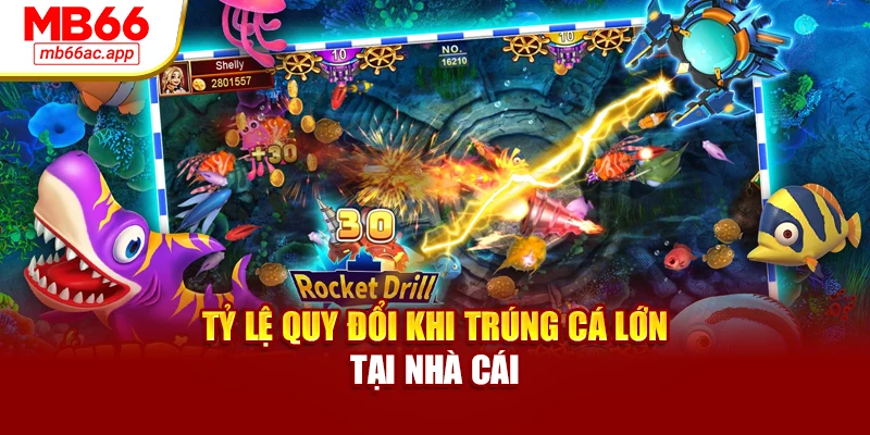 Tỷ lệ quy đổi khi trúng cá lớn tại nhà cái