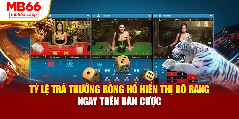 Tỷ lệ trả thưởng Rồng Hổ hiển thị rõ ràng ngay trên bàn cược